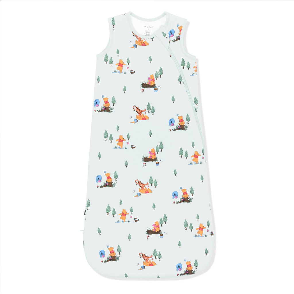 Sleep Bag in Winnie the Pooh Hundred Acre Wood 1.0
