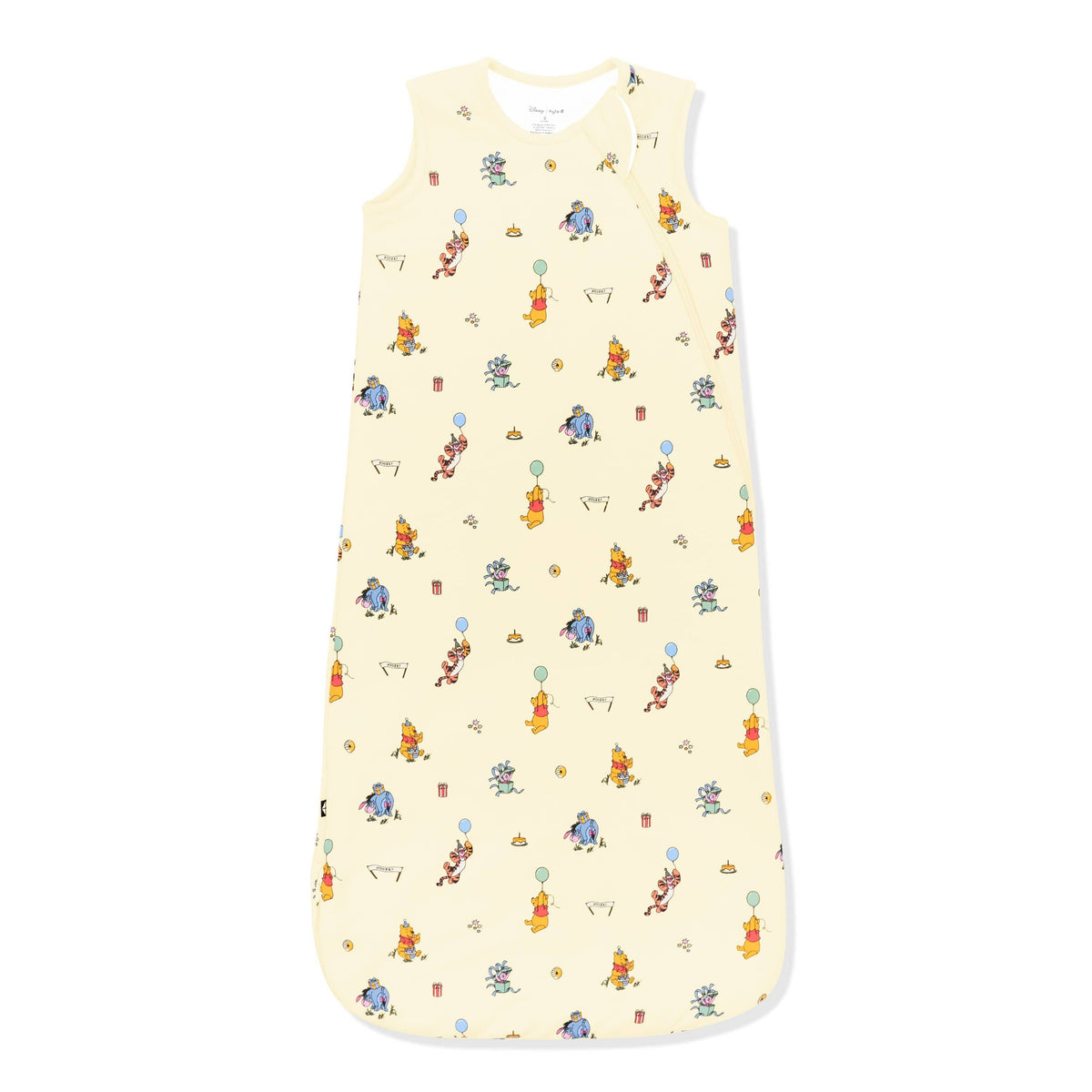 Sleep Bag in Winnie the Pooh Celebration 1.0