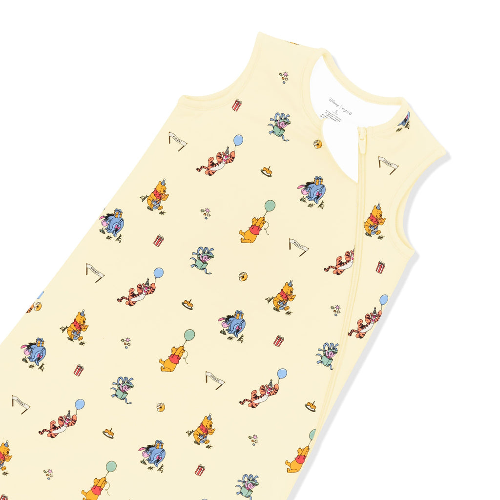 Sleep Bag in Winnie the Pooh Celebration 1.0