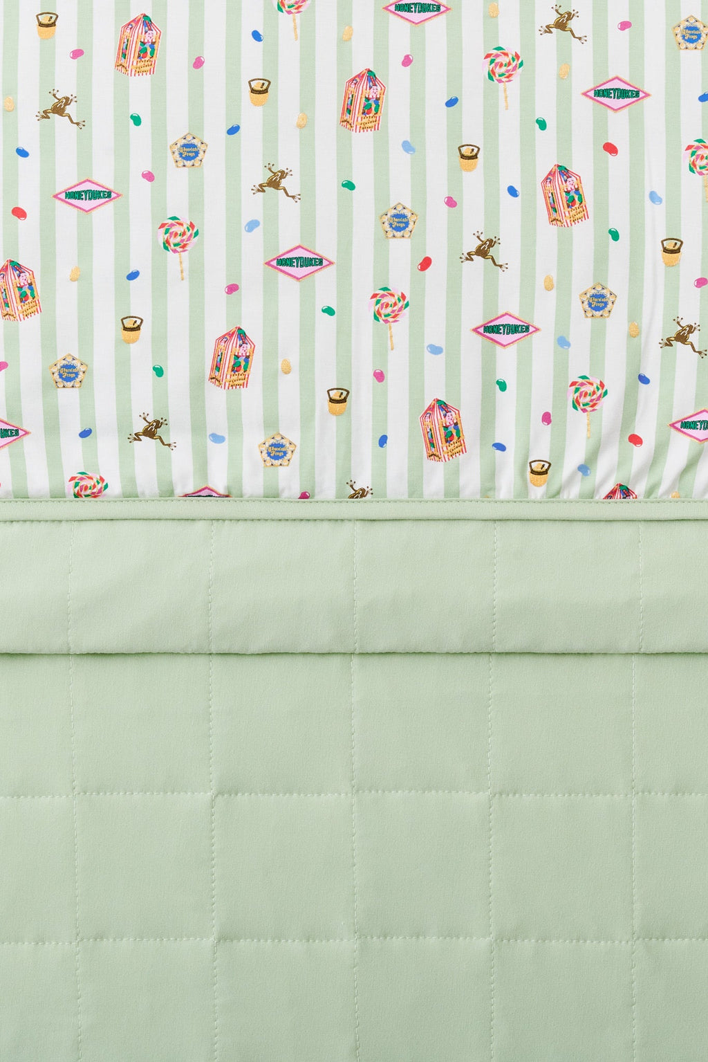 Baby Blanket in Honeydukes 1.0
