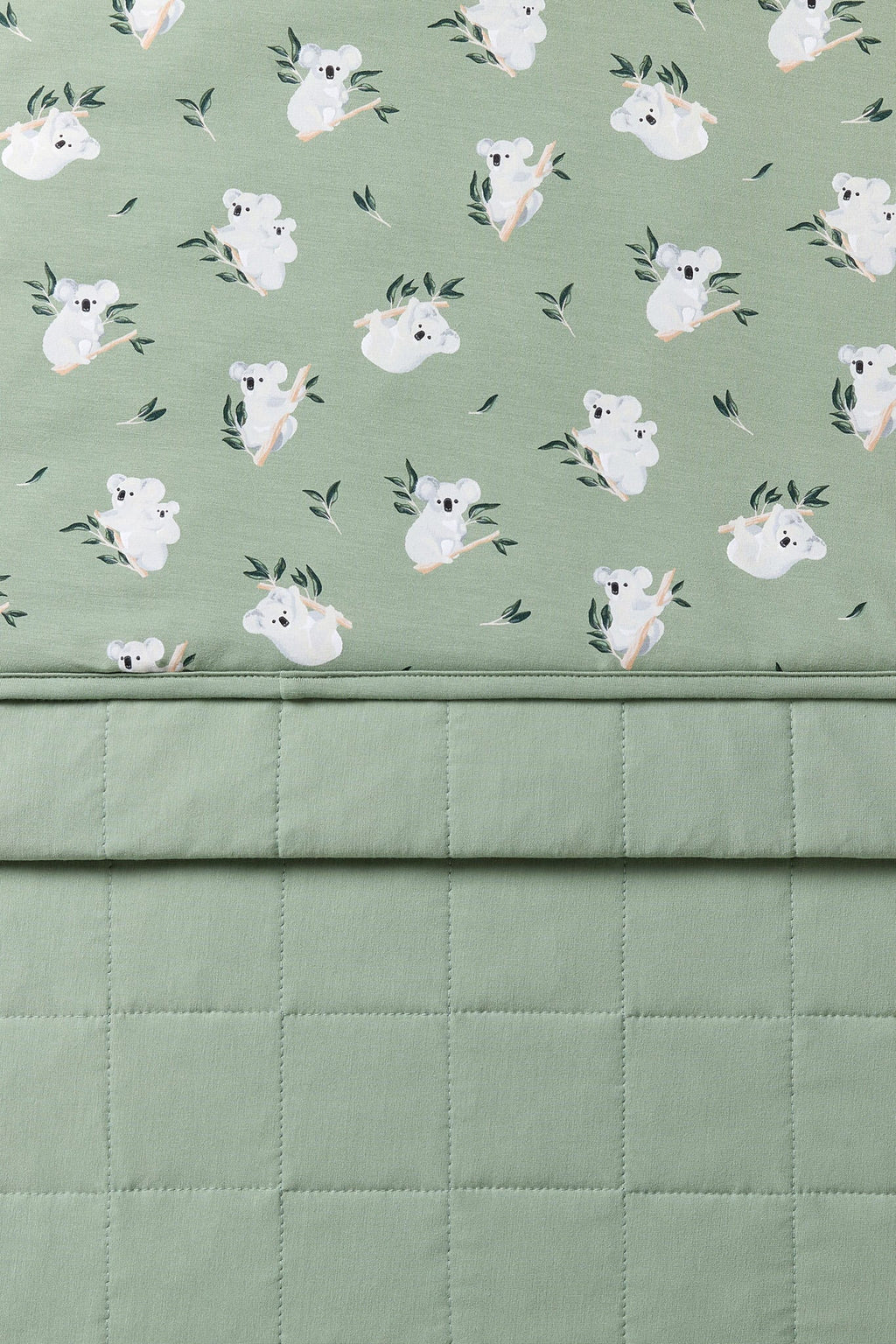Youth Blanket in Koala 2.5