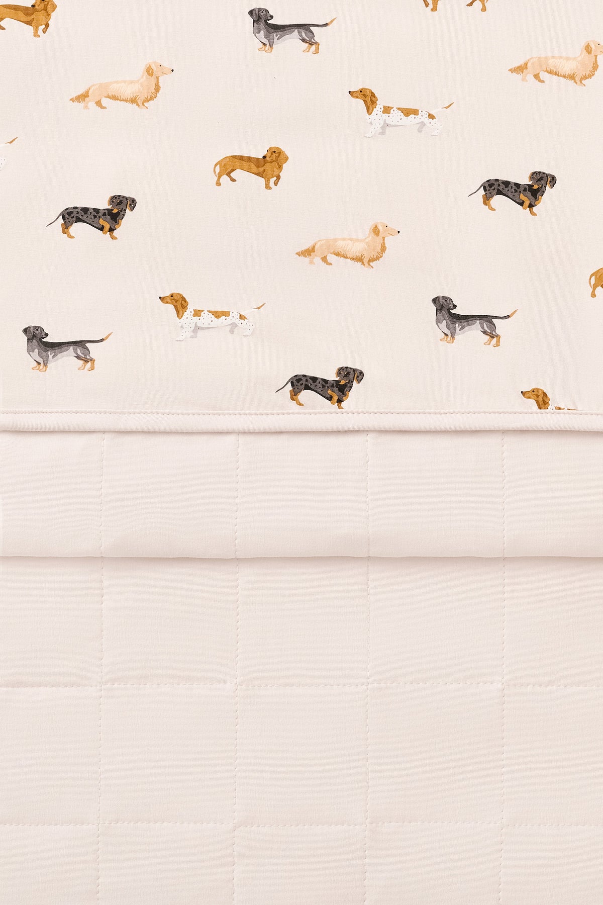Toddler Blanket in Dachshund 1.0