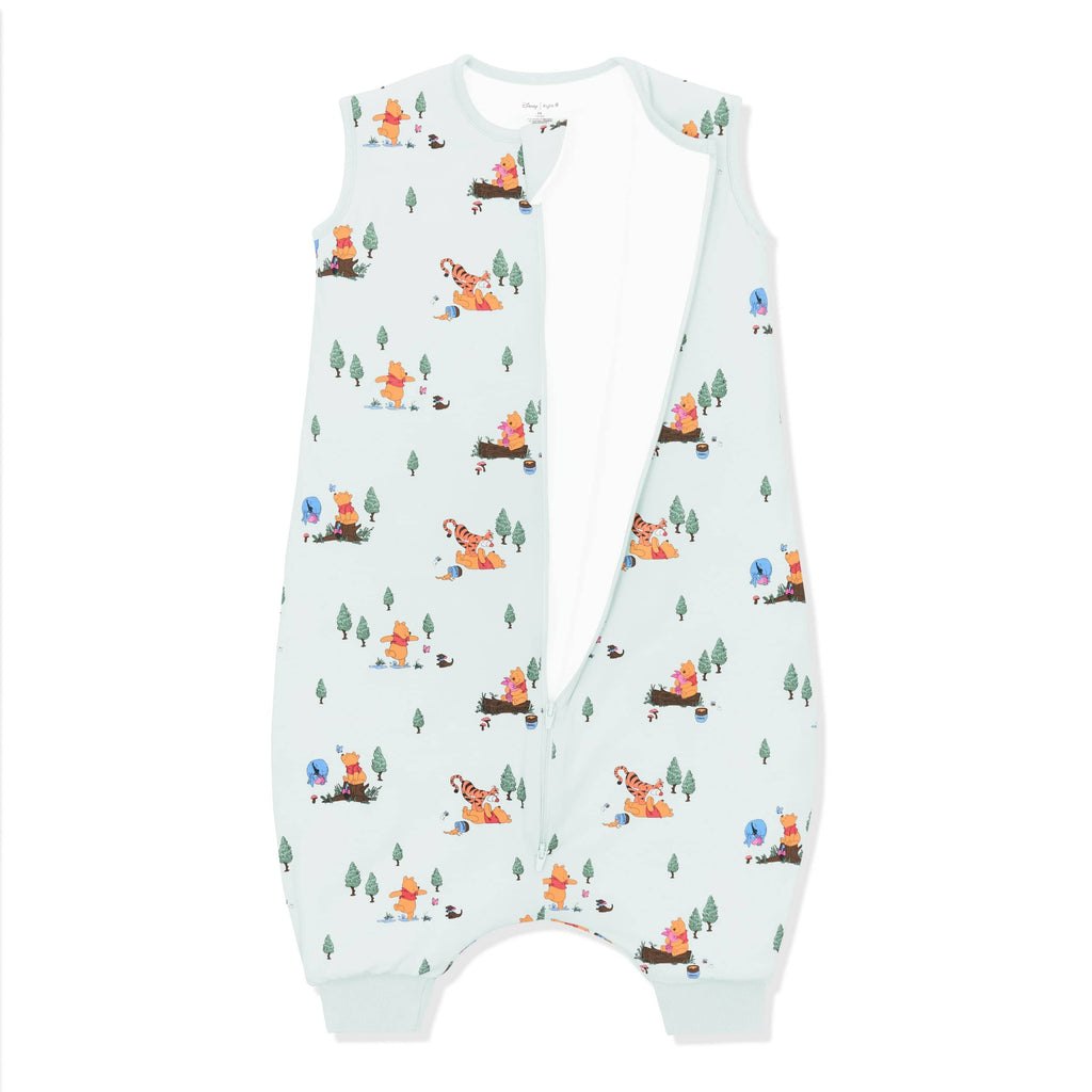 Sleep Bag Walker in Winnie the Pooh Hundred Acre Wood 1.0