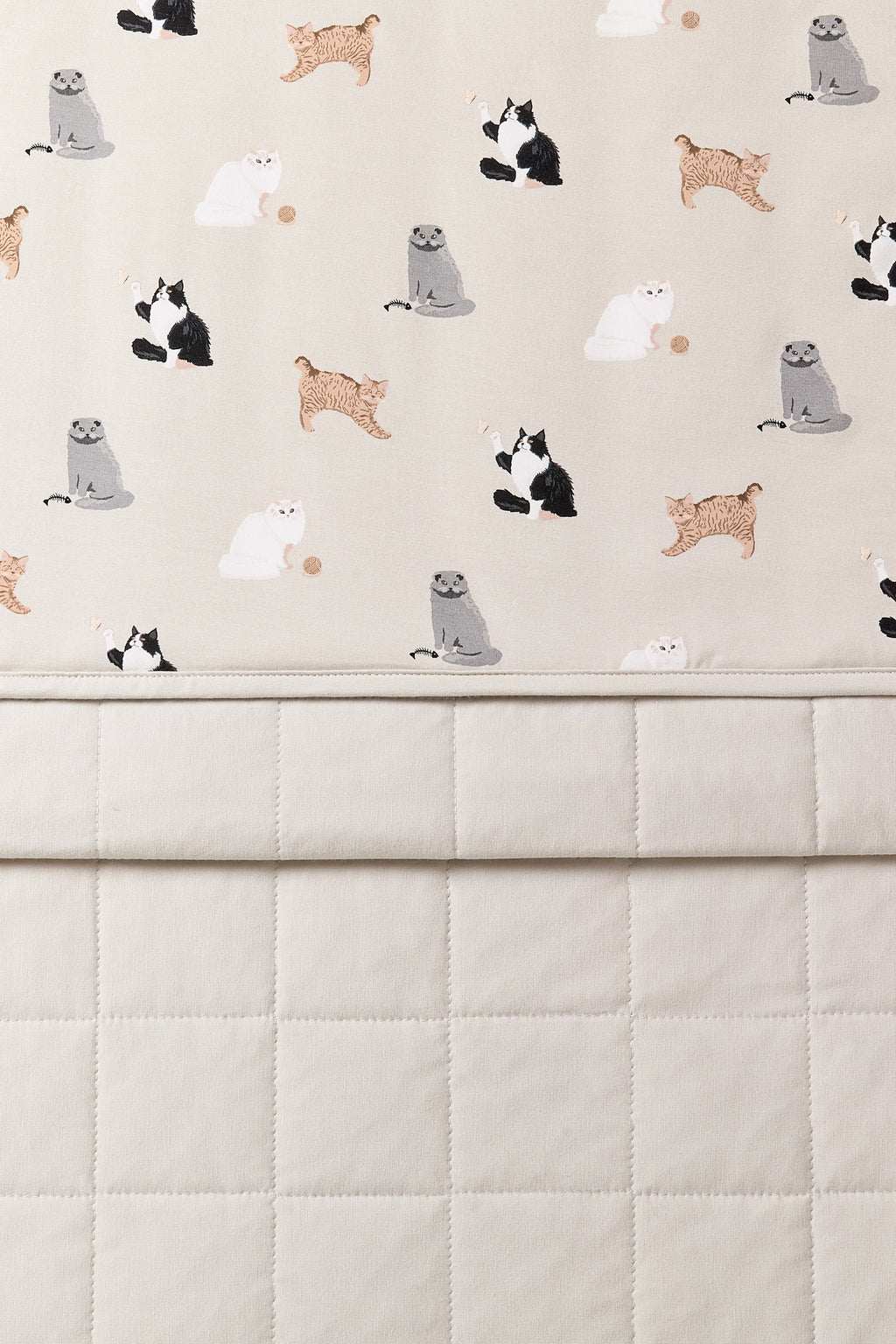 Youth Blanket in Fluffy Cat 1.0