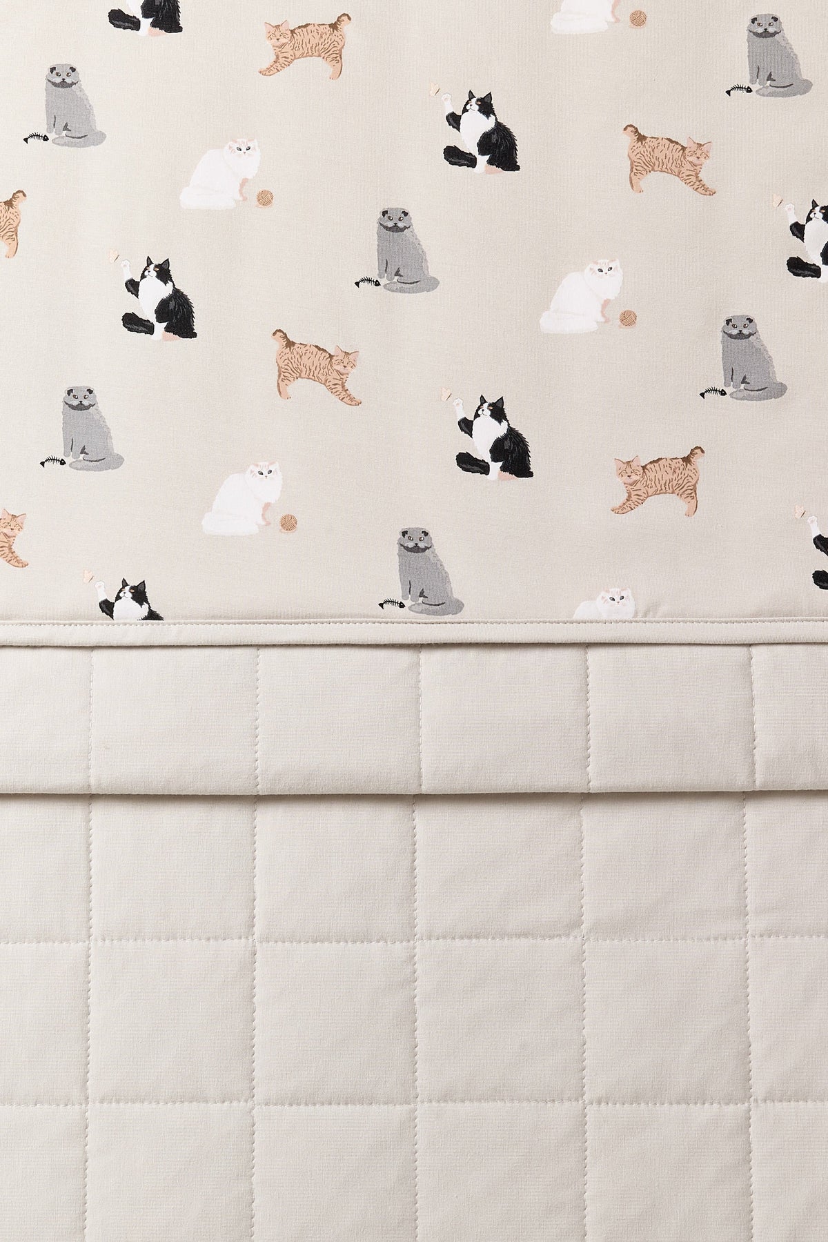 Youth Blanket in Fluffy Cat 1.0