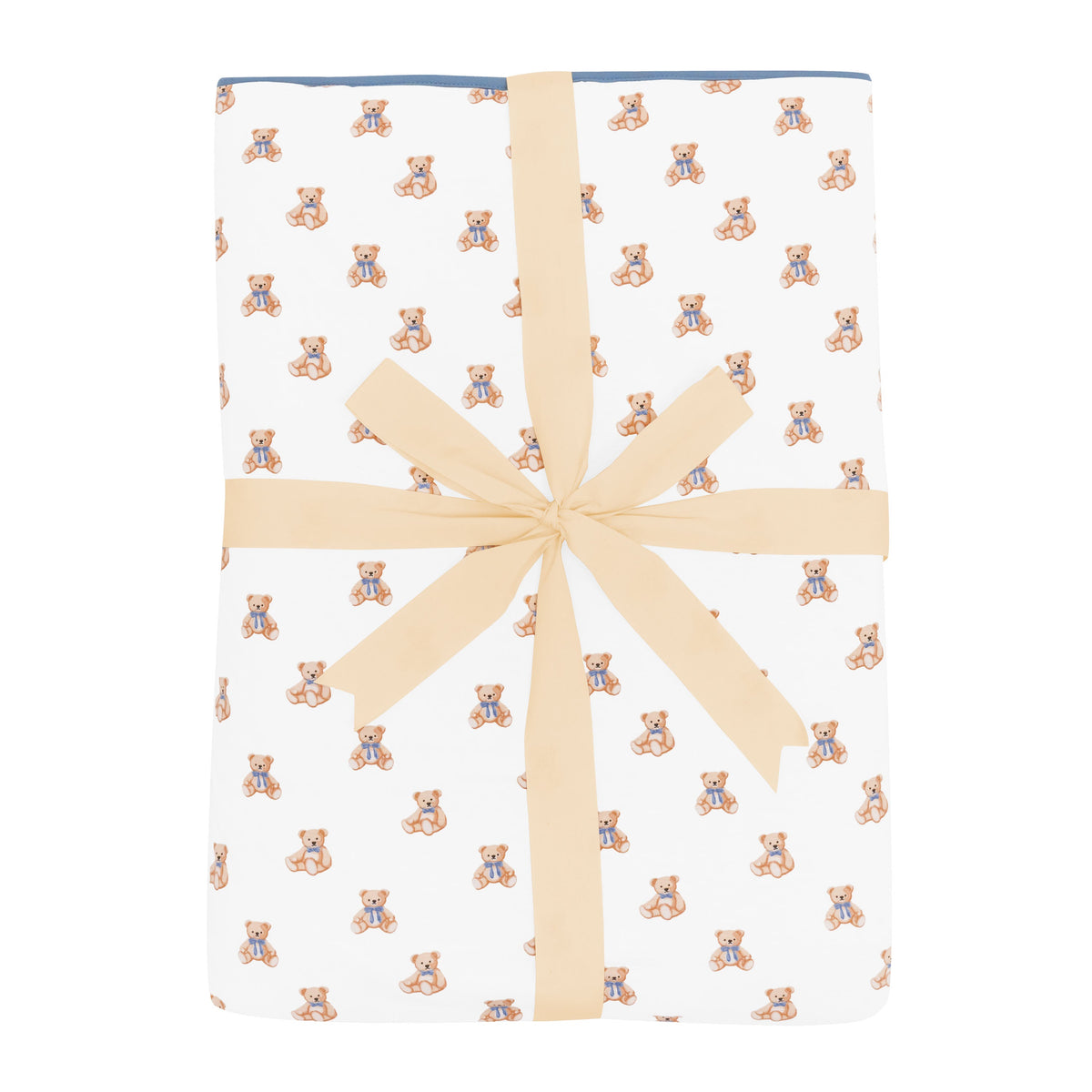 Youth Blanket in Teddy Bear 1.0