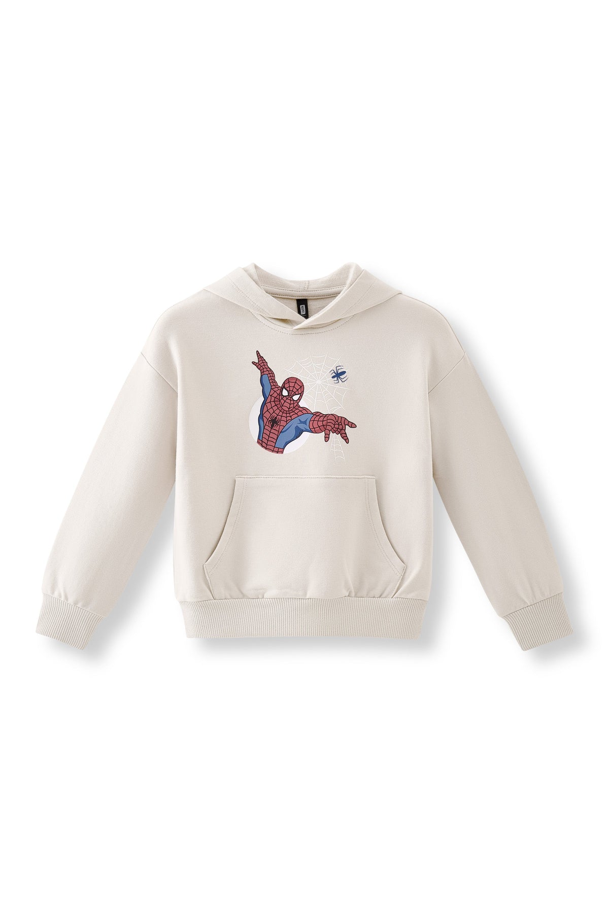 Hoodie in Spider-Man