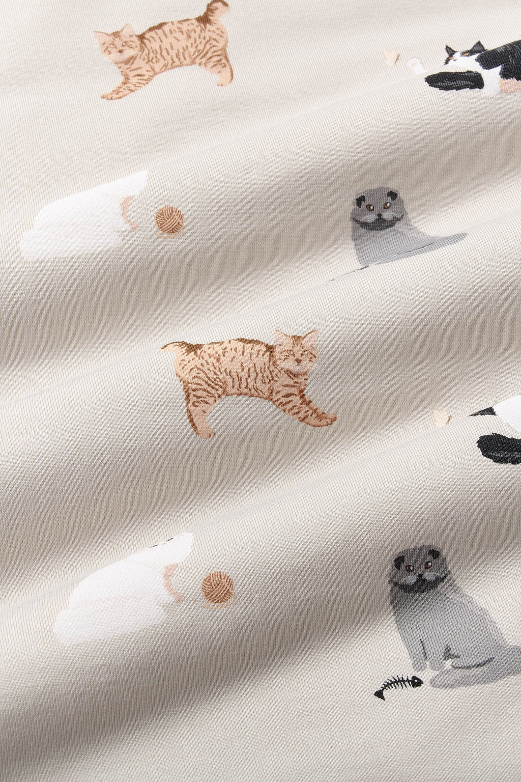 Youth Blanket in Fluffy Cat 1.0