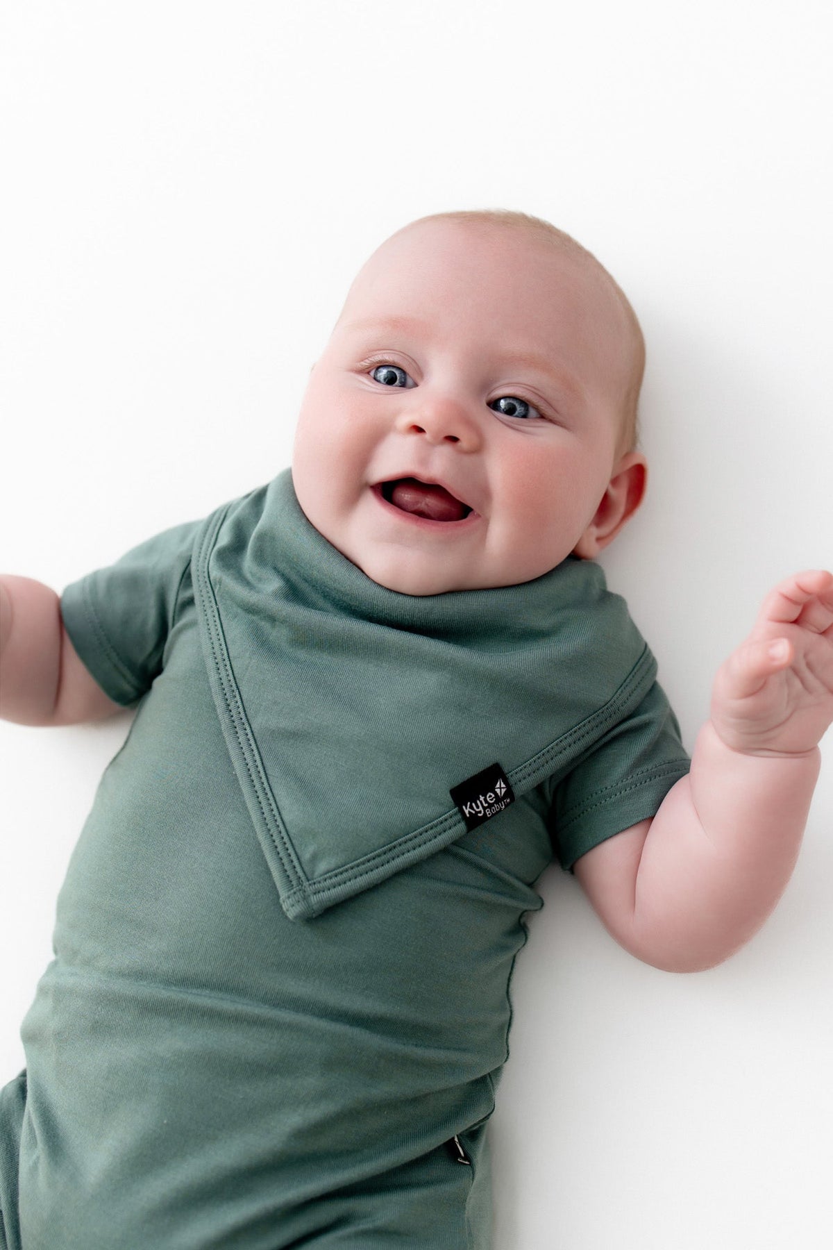 Bib in Pine