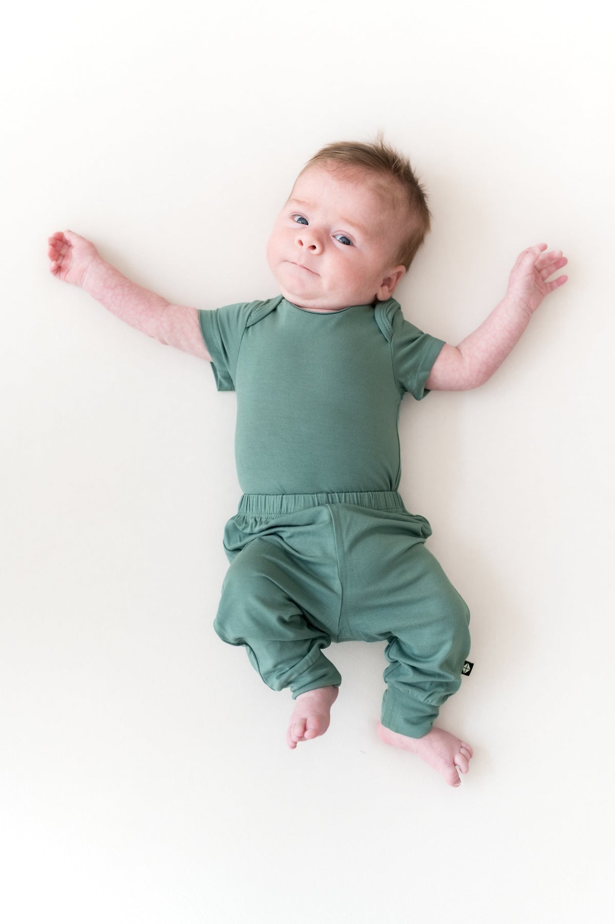 Pant in Pine