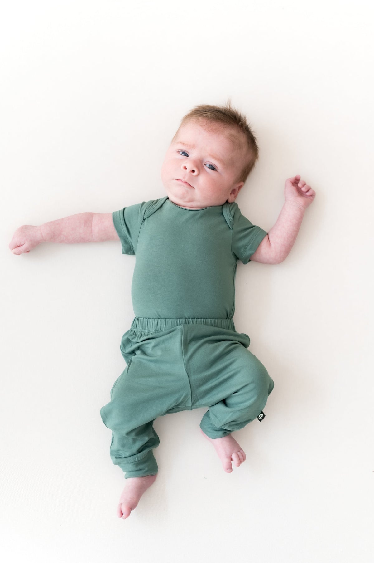 Pant in Pine