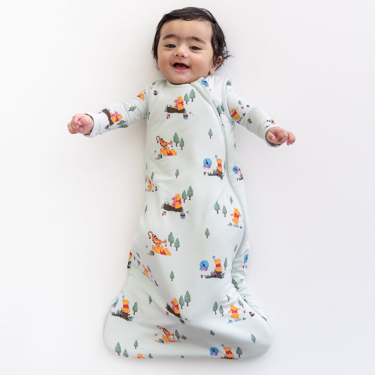 Sleep Bag in Winnie the Pooh Hundred Acre Wood 1.0