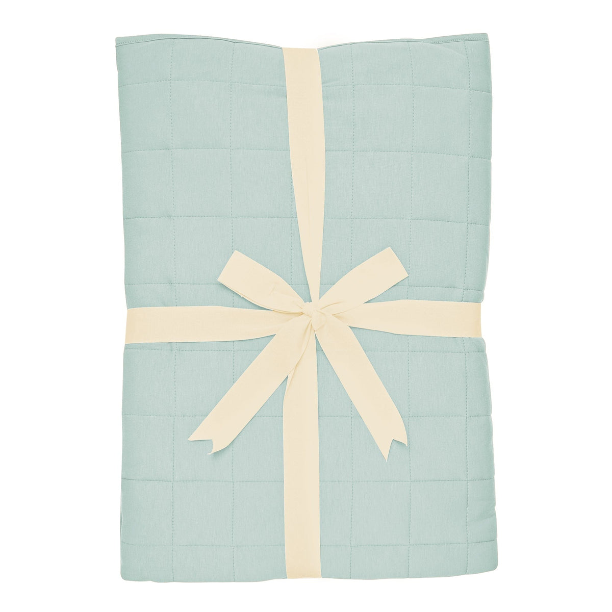 Youth Blanket in Sage 1.0